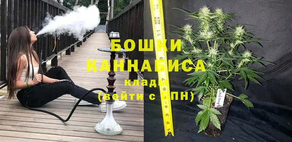 шишки Алзамай