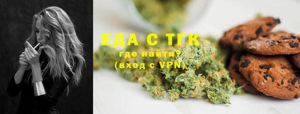 мет Алексин