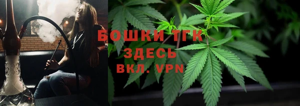 мет Алексин