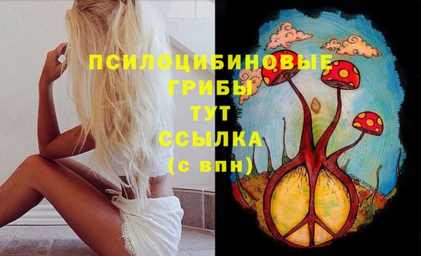 эйфоретик Алексеевка