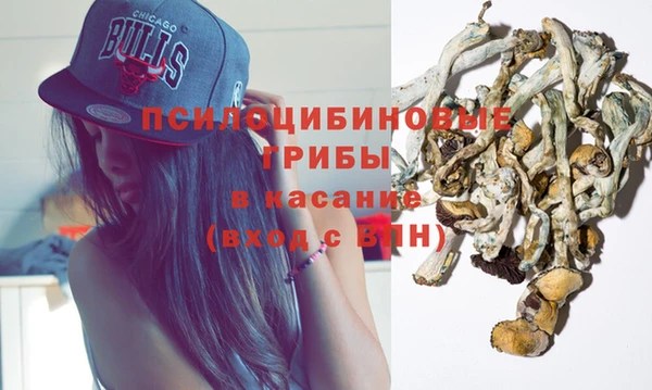 мет Алексин
