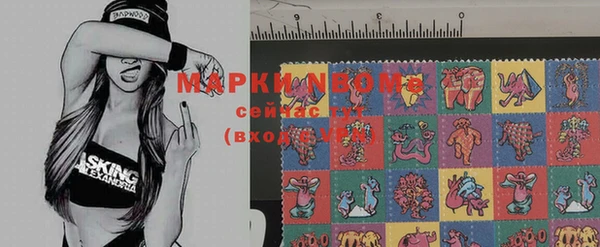 шишки Алзамай