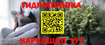 мдпв Тверь