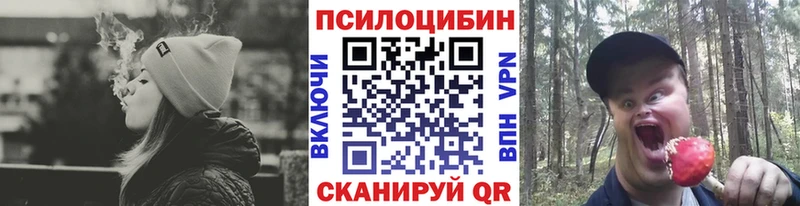 Галлюциногенные грибы Psilocybe  Удомля 