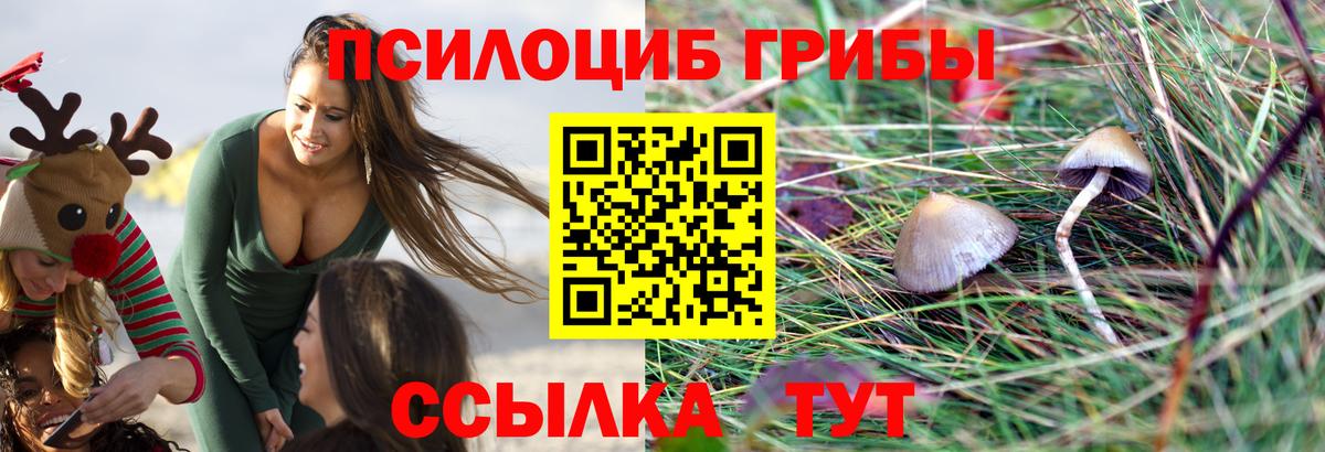 Галлюциногенные грибы ЛСД  Вход с VPN  Удомля 