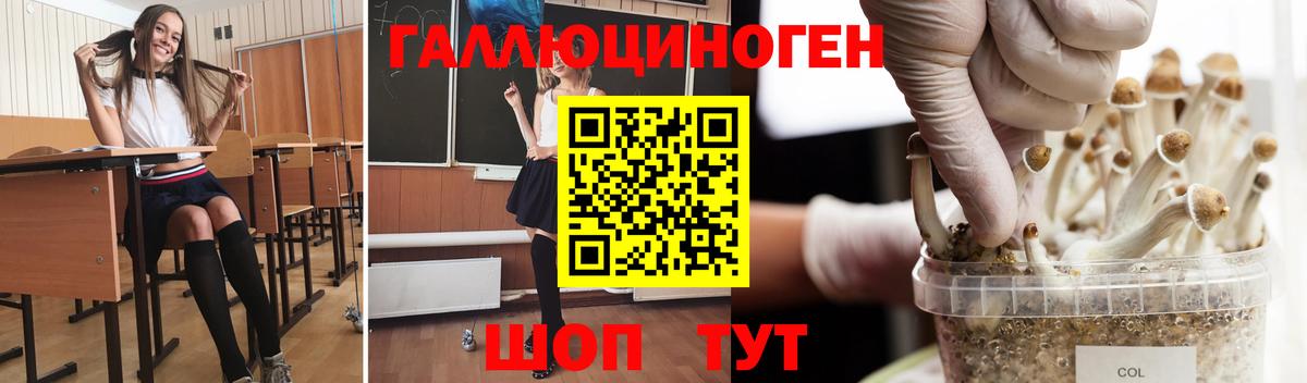 Псилоцибиновые грибы Psilocybe Удомля